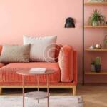 Ruddy pink